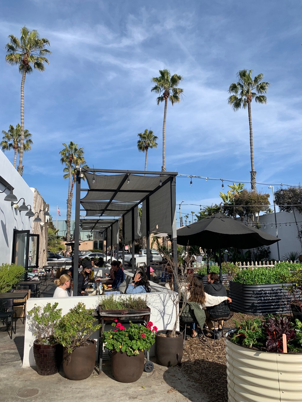 Plant-Based and Zero-Waste: The Plot Serves Up a Garden-to-Table Dining Experience in&nbsp;Oceanside